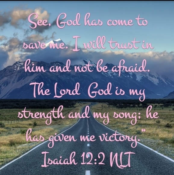 LIGHT GRAY CASHMERE CARDIGAN Fits M/LG VNPLC - Picture 12 of 16